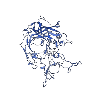 22010_6x2k_g_v1-0
The Tusavirus (TuV) capsid structure