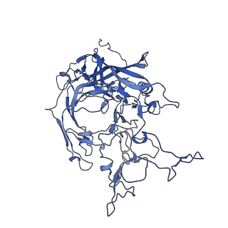 22010_6x2k_g_v1-1
The Tusavirus (TuV) capsid structure