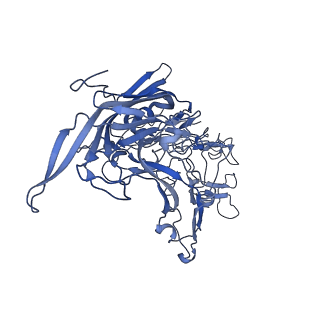 22010_6x2k_h_v1-0
The Tusavirus (TuV) capsid structure