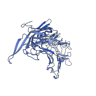 22010_6x2k_h_v1-1
The Tusavirus (TuV) capsid structure