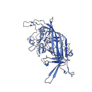 22010_6x2k_i_v1-0
The Tusavirus (TuV) capsid structure