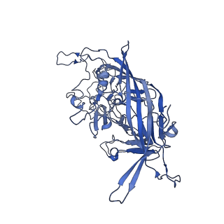 22010_6x2k_i_v1-1
The Tusavirus (TuV) capsid structure