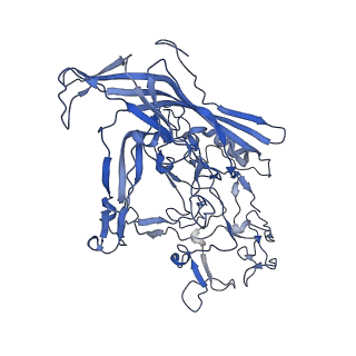 22010_6x2k_j_v1-0
The Tusavirus (TuV) capsid structure
