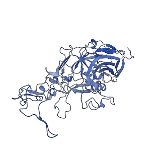 22010_6x2k_k_v1-0
The Tusavirus (TuV) capsid structure