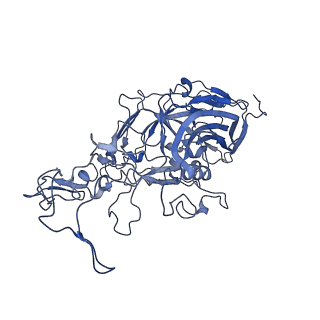 22010_6x2k_k_v1-1
The Tusavirus (TuV) capsid structure