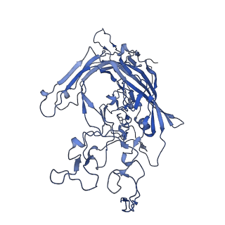 22010_6x2k_l_v1-0
The Tusavirus (TuV) capsid structure