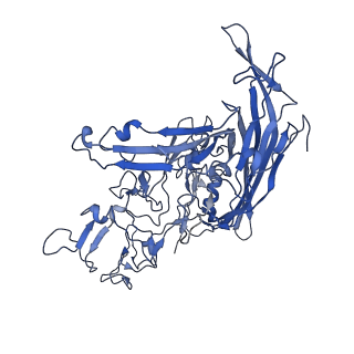 22010_6x2k_m_v1-1
The Tusavirus (TuV) capsid structure