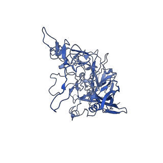 22010_6x2k_n_v1-0
The Tusavirus (TuV) capsid structure