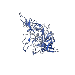 22010_6x2k_n_v1-1
The Tusavirus (TuV) capsid structure