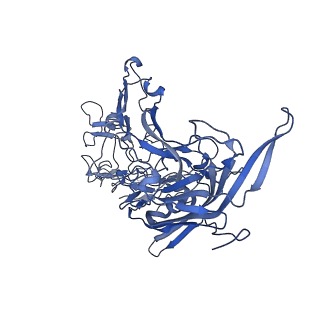 22010_6x2k_o_v1-0
The Tusavirus (TuV) capsid structure