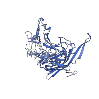 22010_6x2k_o_v1-1
The Tusavirus (TuV) capsid structure