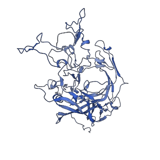 22010_6x2k_p_v1-0
The Tusavirus (TuV) capsid structure