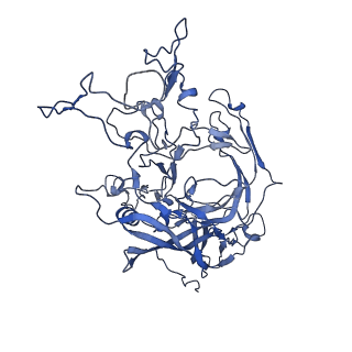 22010_6x2k_p_v1-1
The Tusavirus (TuV) capsid structure