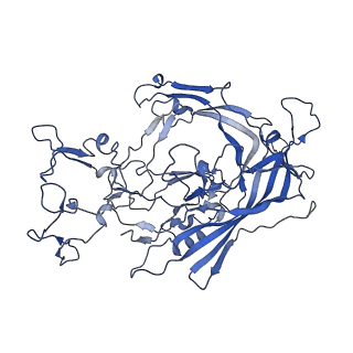 22010_6x2k_q_v1-0
The Tusavirus (TuV) capsid structure