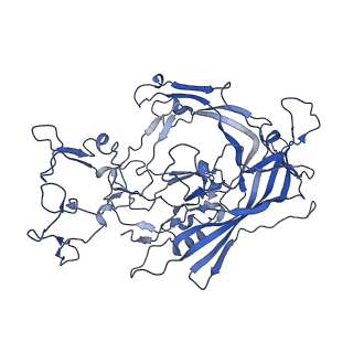 22010_6x2k_q_v1-1
The Tusavirus (TuV) capsid structure