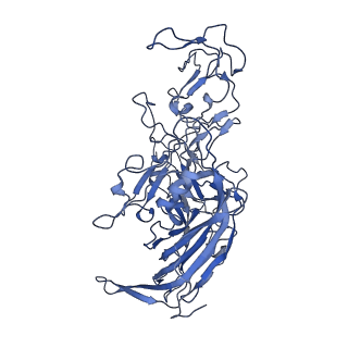 22010_6x2k_r_v1-0
The Tusavirus (TuV) capsid structure