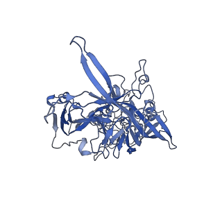 22010_6x2k_s_v1-0
The Tusavirus (TuV) capsid structure