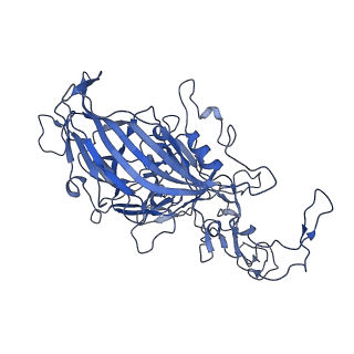 22010_6x2k_t_v1-0
The Tusavirus (TuV) capsid structure