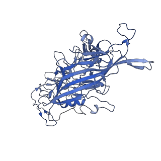 22010_6x2k_u_v1-0
The Tusavirus (TuV) capsid structure