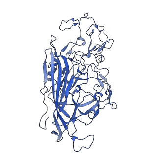 22010_6x2k_v_v1-0
The Tusavirus (TuV) capsid structure