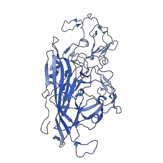 22010_6x2k_v_v1-1
The Tusavirus (TuV) capsid structure