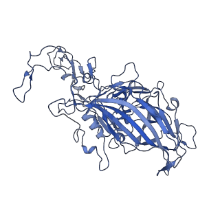 22010_6x2k_w_v1-0
The Tusavirus (TuV) capsid structure