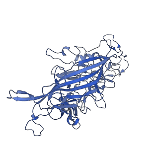 22010_6x2k_x_v1-0
The Tusavirus (TuV) capsid structure