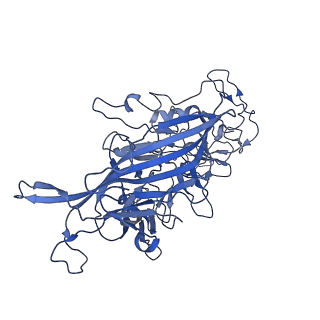 22010_6x2k_x_v1-1
The Tusavirus (TuV) capsid structure