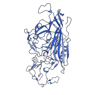 22010_6x2k_y_v1-0
The Tusavirus (TuV) capsid structure