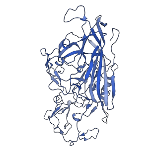 22010_6x2k_y_v1-1
The Tusavirus (TuV) capsid structure