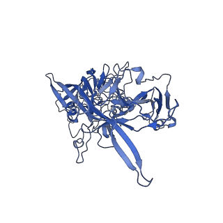 22010_6x2k_z_v1-0
The Tusavirus (TuV) capsid structure