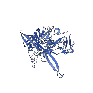 22010_6x2k_z_v1-1
The Tusavirus (TuV) capsid structure