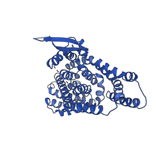 22011_6x2l_B_v1-1
hEAAT3-IFS-Na