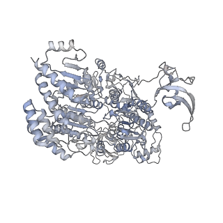 22012_6x2n_A_v1-0
Mfd-bound E.coli RNA polymerase elongation complex - I state