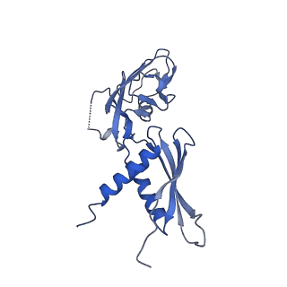22012_6x2n_G_v1-0
Mfd-bound E.coli RNA polymerase elongation complex - I state