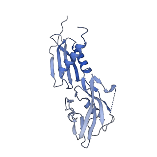 22012_6x2n_H_v1-0
Mfd-bound E.coli RNA polymerase elongation complex - I state