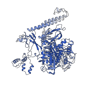 22012_6x2n_I_v1-0
Mfd-bound E.coli RNA polymerase elongation complex - I state