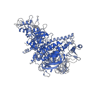 22012_6x2n_J_v1-0
Mfd-bound E.coli RNA polymerase elongation complex - I state