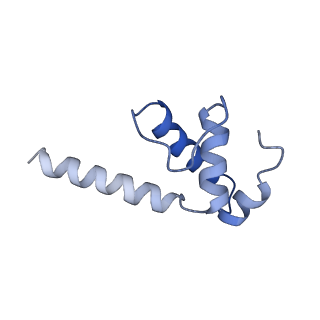22012_6x2n_K_v1-0
Mfd-bound E.coli RNA polymerase elongation complex - I state