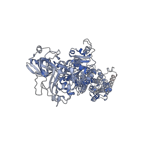 32954_7x21_A_v1-0
Cryo-EM structure of non gastric H,K-ATPase alpha2 K794A in (K+)E2-AlF state