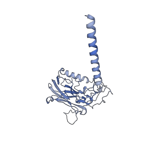 32954_7x21_B_v1-0
Cryo-EM structure of non gastric H,K-ATPase alpha2 K794A in (K+)E2-AlF state
