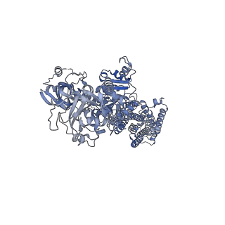 32955_7x22_A_v1-0
Cryo-EM structure of non gastric H,K-ATPase alpha2 K794S in (2K+)E2-AlF state