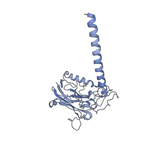 32955_7x22_B_v1-0
Cryo-EM structure of non gastric H,K-ATPase alpha2 K794S in (2K+)E2-AlF state