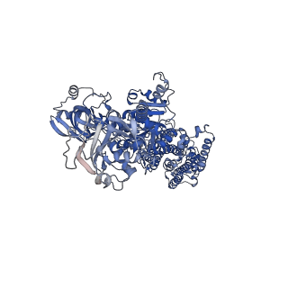 32957_7x24_A_v1-0
Cryo-EM structure of non gastric H,K-ATPase alpha2 SPWC mutant in (2K+)E2-AlF state