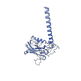 32957_7x24_B_v1-0
Cryo-EM structure of non gastric H,K-ATPase alpha2 SPWC mutant in (2K+)E2-AlF state