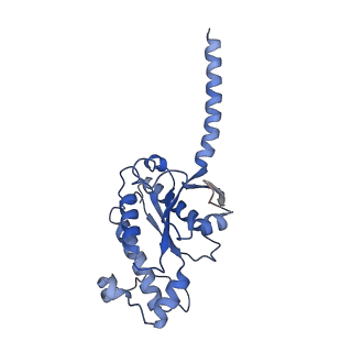 32964_7x2c_A_v1-0
Cryo-EM structure of the fenoldopam-bound D1 dopamine receptor and mini-Gs complex