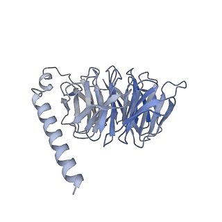 32964_7x2c_B_v1-0
Cryo-EM structure of the fenoldopam-bound D1 dopamine receptor and mini-Gs complex