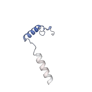 32964_7x2c_D_v1-0
Cryo-EM structure of the fenoldopam-bound D1 dopamine receptor and mini-Gs complex