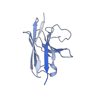 32964_7x2c_E_v1-0
Cryo-EM structure of the fenoldopam-bound D1 dopamine receptor and mini-Gs complex