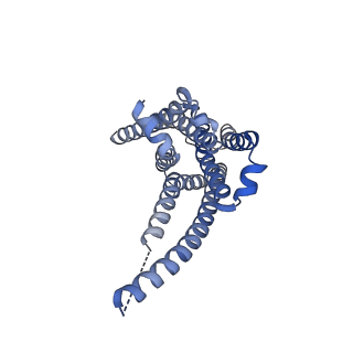 32964_7x2c_F_v1-0
Cryo-EM structure of the fenoldopam-bound D1 dopamine receptor and mini-Gs complex